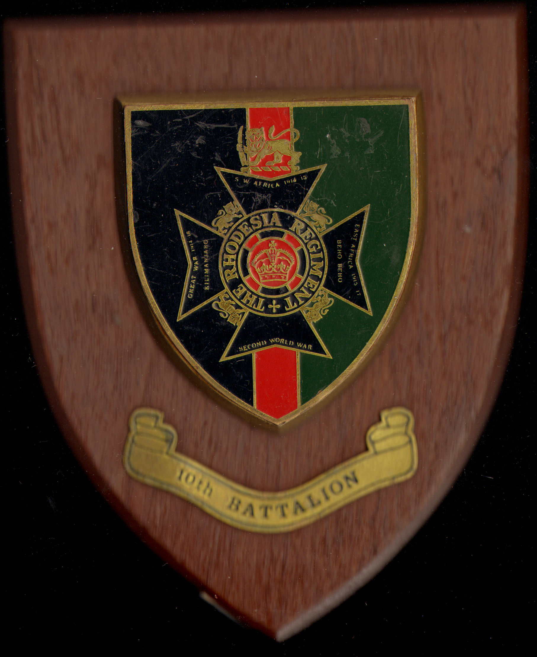 RHODESIAN SECURITY FORCES -> Rhodesian Regiment and Rhodesian Light ...