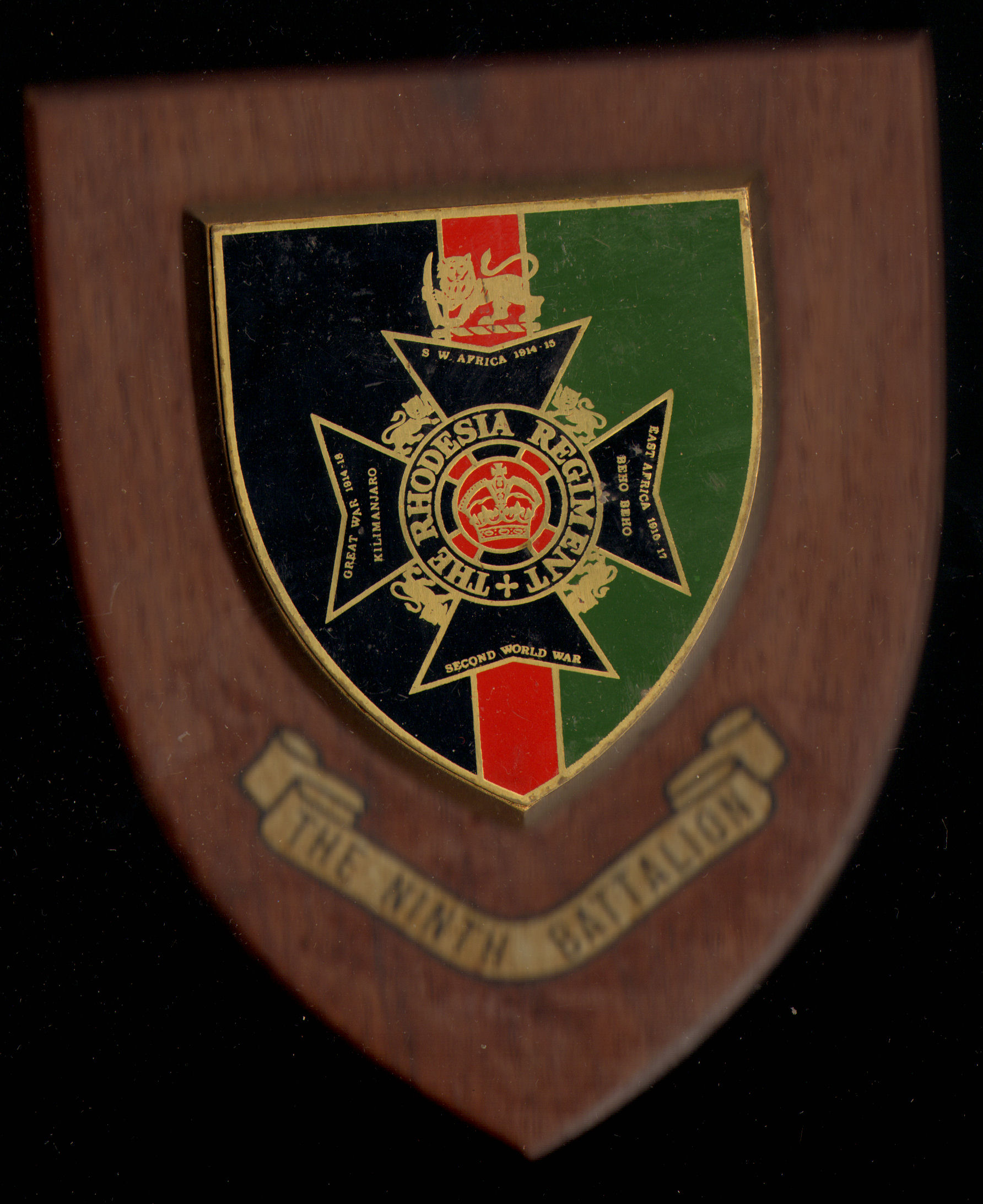 RHODESIAN SECURITY FORCES -> Rhodesian Regiment and Rhodesian Light ...